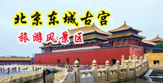 真人抽插爽死视频中国北京-东城古宫旅游风景区
